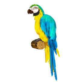 Parrot 🦜 