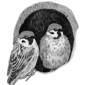 парные воробьишки