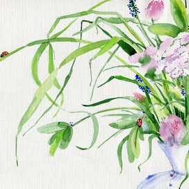 летние травы