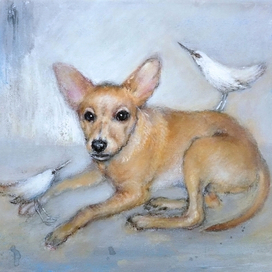 Славный Ози