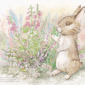 Рисунок для шоколадки.