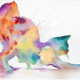 Радужный кот