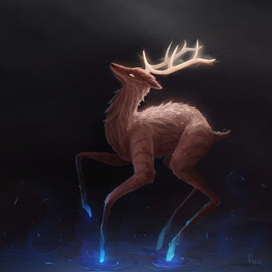 deer