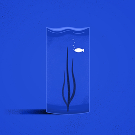 Абстракция рыба