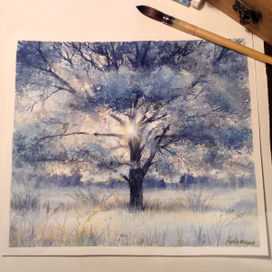 Свет сквозь крону.