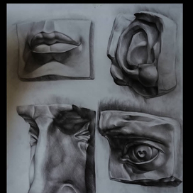 Академический рисунок,"части лица"