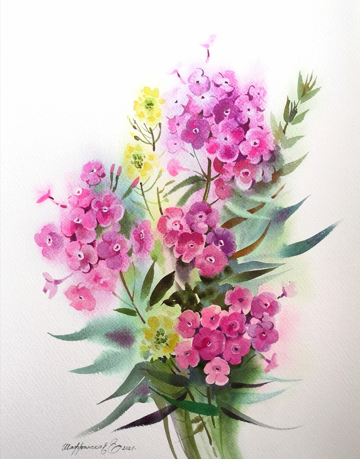 "Садовые флоксы"