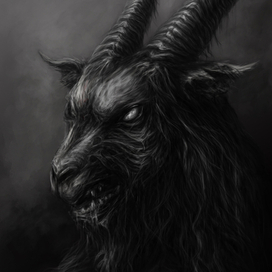 Black goat