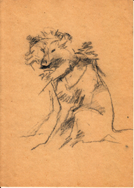 Тамань, собака