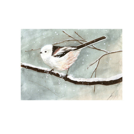 Белая синица