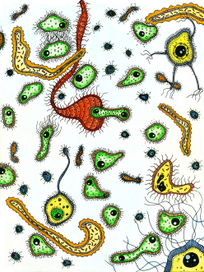 Жизнь микробов