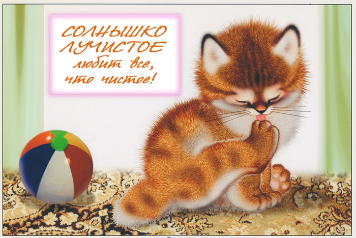 Приятное с полезным.