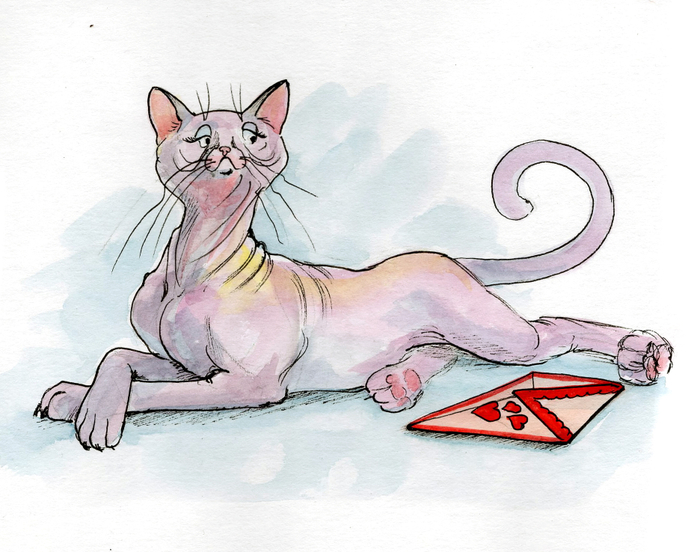 кошка - старая дева