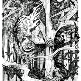 Госпожа черного озера