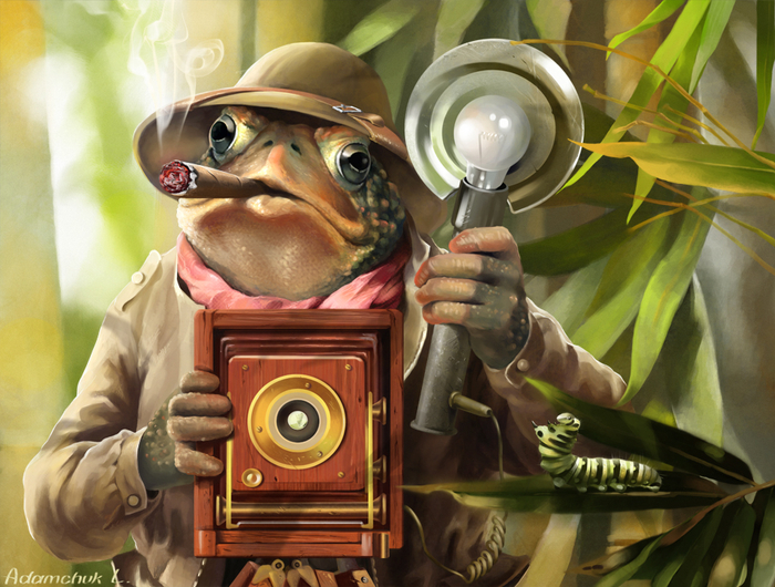 Фотоохотник