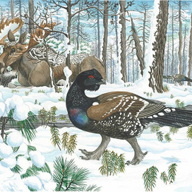 Каменный глухарь