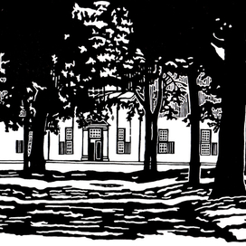 Винная ферма Констаншия. Деревья и тени.