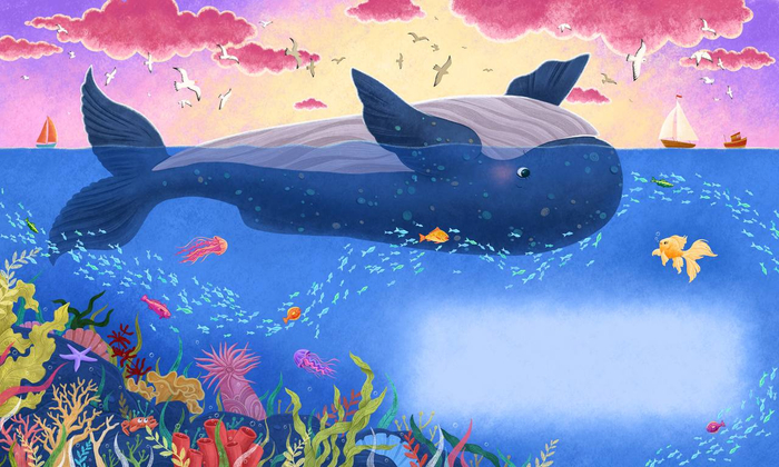 Зарождение дружбы🐳🐠