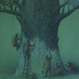 "Большое дерево"