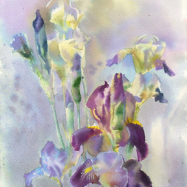 Ирисы, этюд