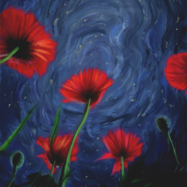 Маковое поле летней ночью