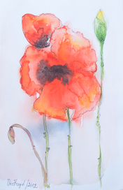 Poppy watercolor