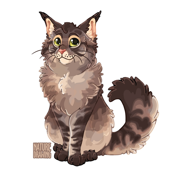 Мейн-кун 🐾