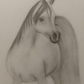 Арабская лошадь сиглави 