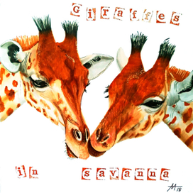 Жирафы в Саванне