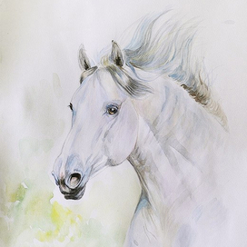Портрет белого коня
