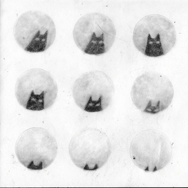 Исчезающий.