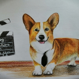 Пёс - актёр 