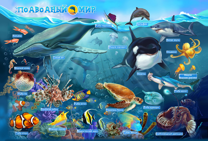подводный мир