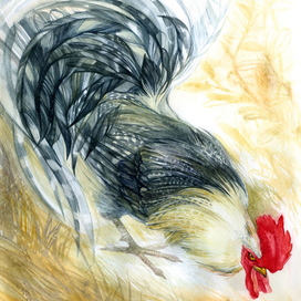 Из серии 12 петухов