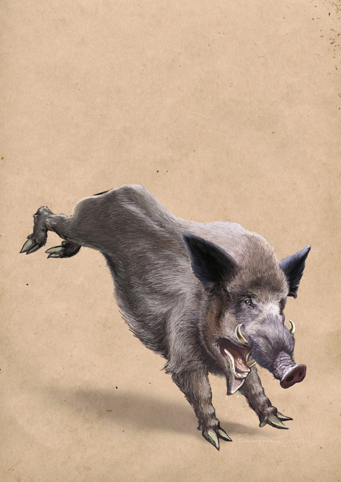 Кабан для родео