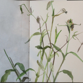 Из альбома для набросков