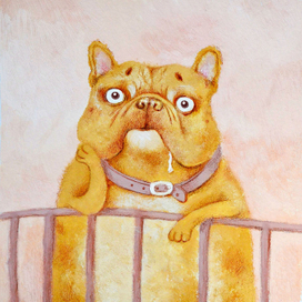 Бульдожка в ожидании