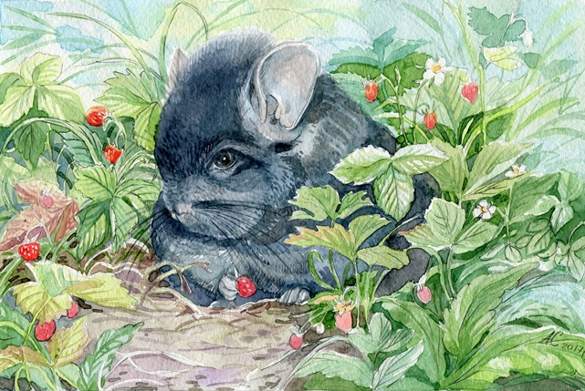 Валькирия Торовна