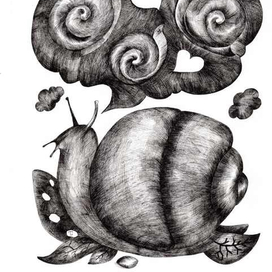 Snail Dream