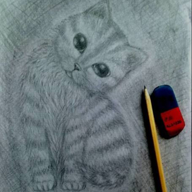 любопытный.