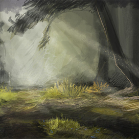 Солнце в лесу