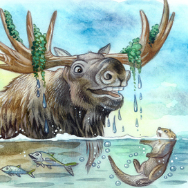 иллюстрации к книге3