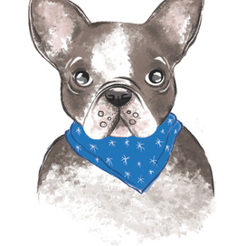 Французский бульдог