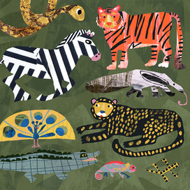 Jungle animals