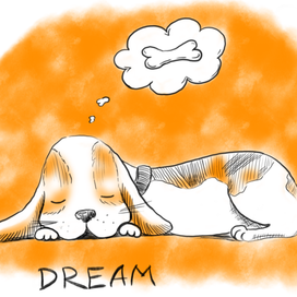 Мечты собаки