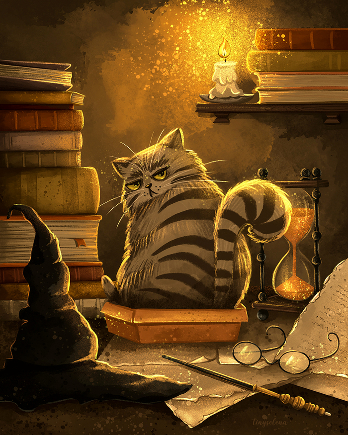 Профессор Макгонагалл