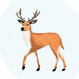 Волшебный Олень