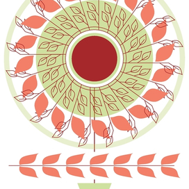 Денежное дерево