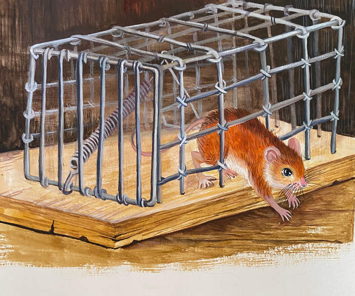 Побег мышонка Пика 