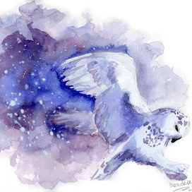 Ночная сова